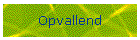 Opvallend