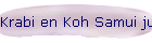 Krabi en Koh Samui juni 2014